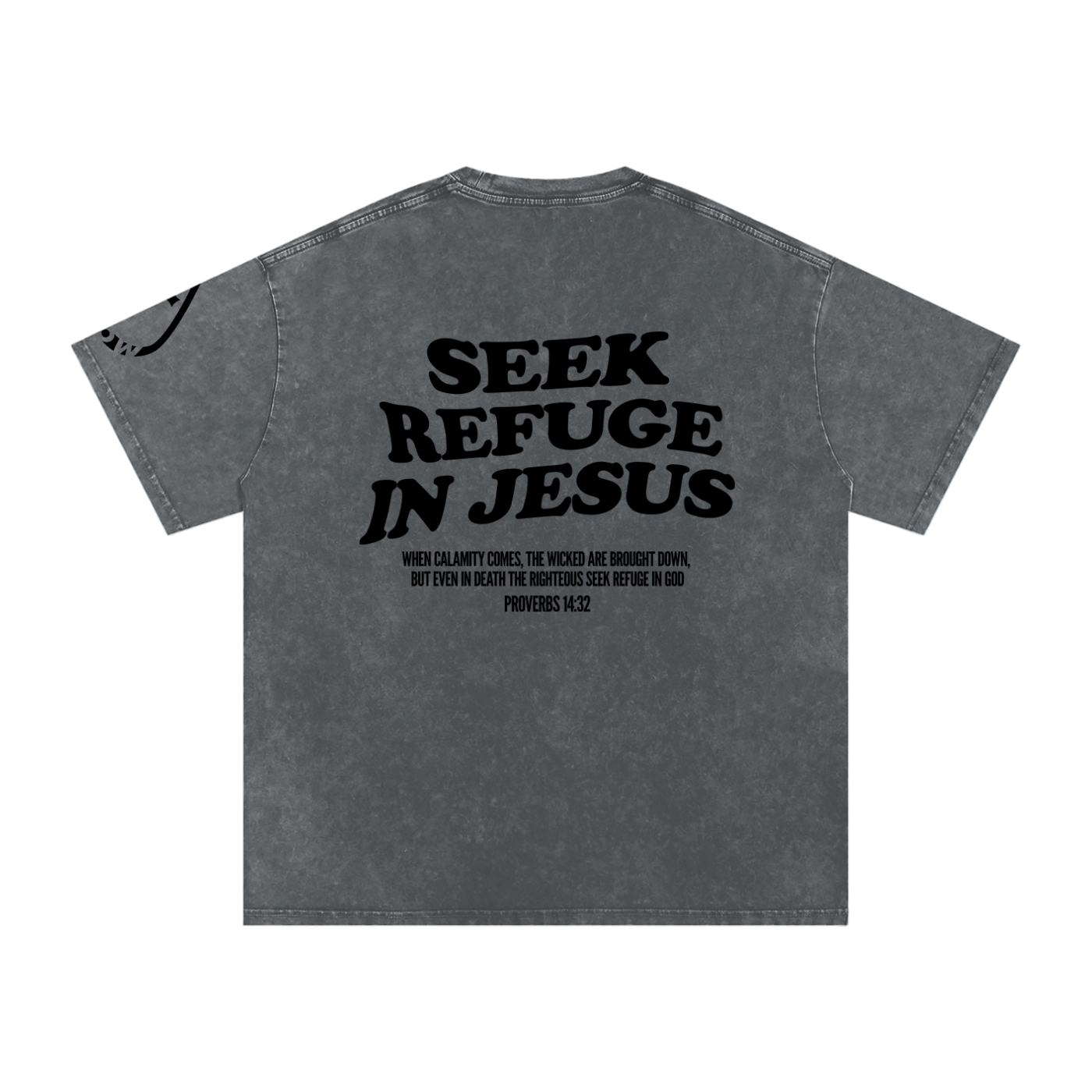 Seek Refuge In Jesus | Oversized Snow Washed