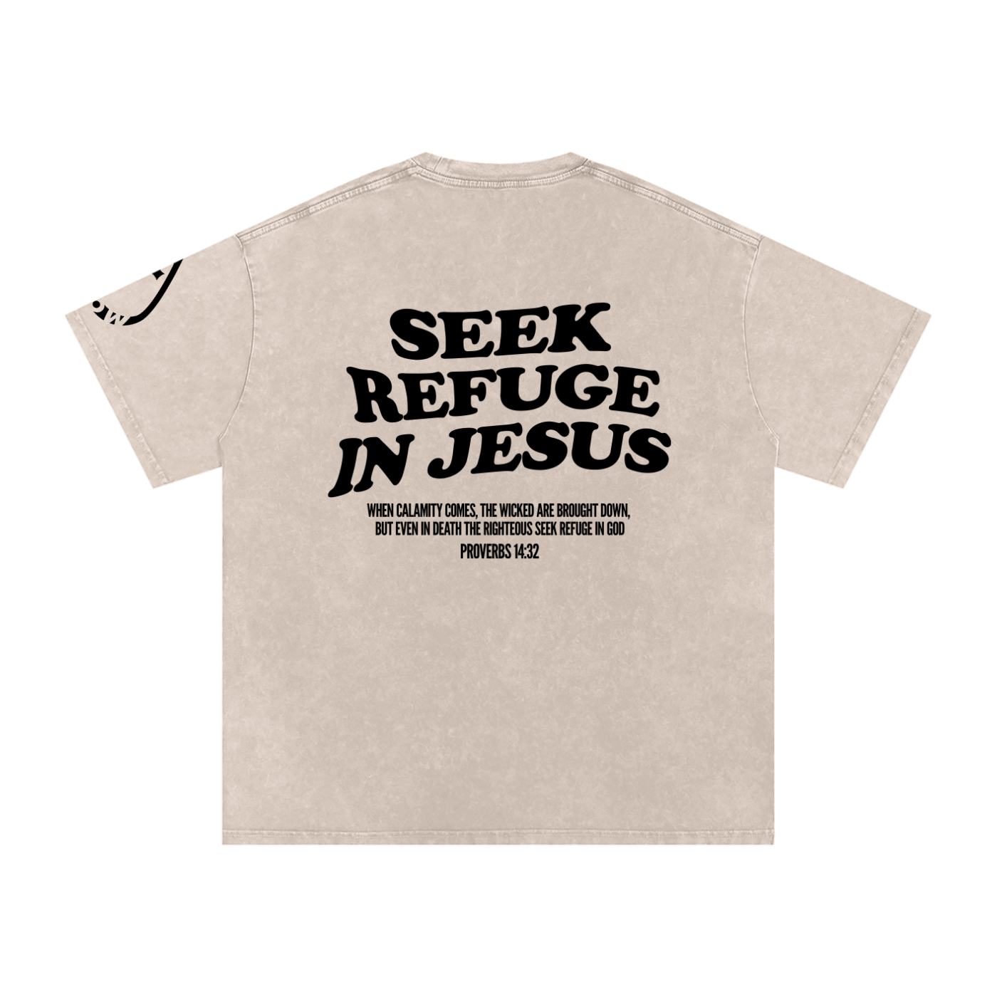 Seek Refuge In Jesus | Oversized Snow Washed