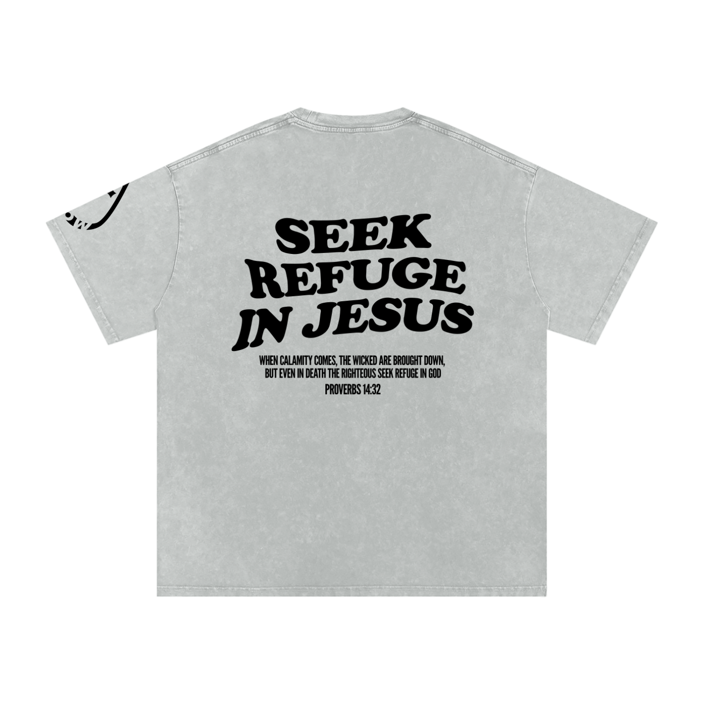 Seek Refuge In Jesus | Oversized Snow Washed